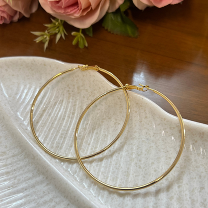 Stainless Steel Hoop Earrings