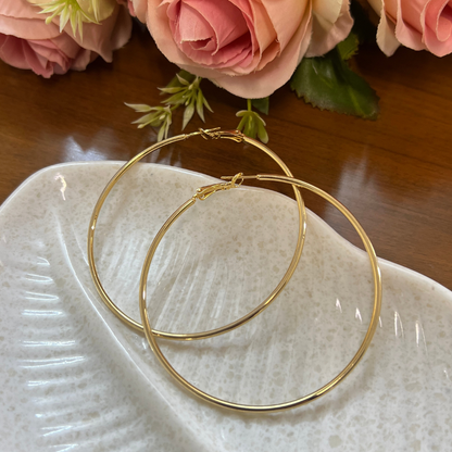 Stainless Steel Hoop Earrings