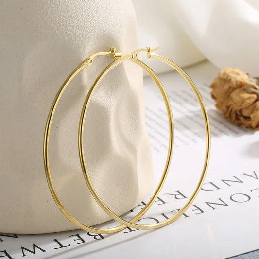 Circle Stainless Steel Hoop Earrings